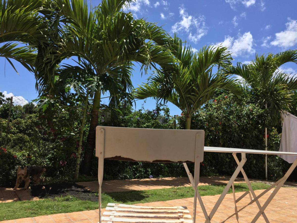 باس تير Villa Des Iles المظهر الخارجي الصورة