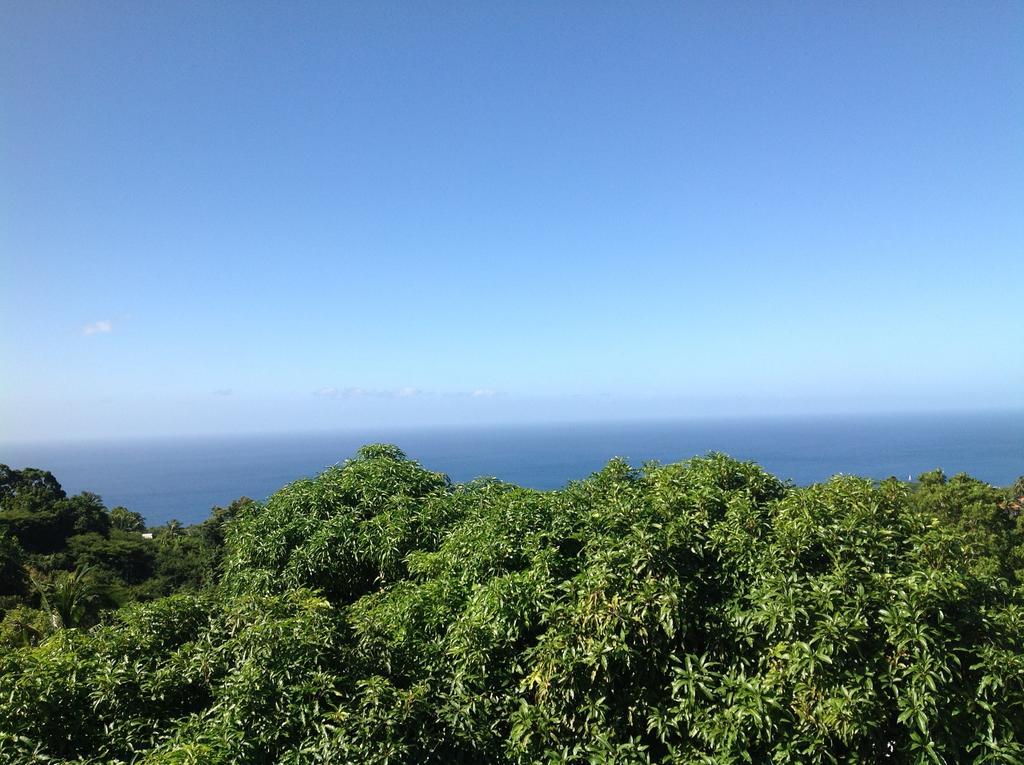 باس تير Villa Des Iles المظهر الخارجي الصورة